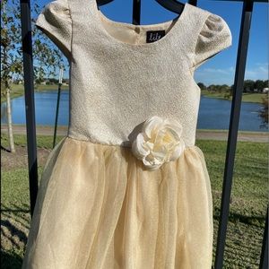 Champagne color dress size 6x.